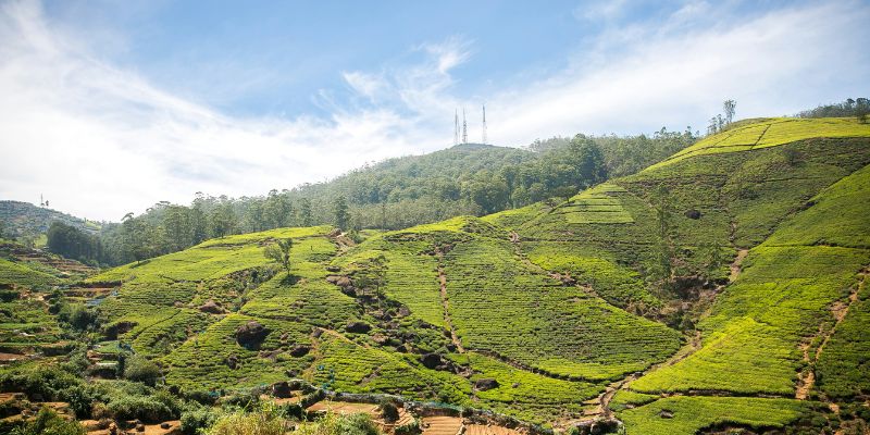 Nuwara Eliya